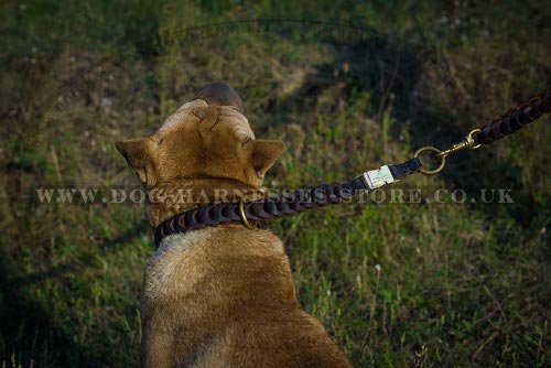 Shar-Pei Lead of Braided Leather with Nappa Padded Soft Handle