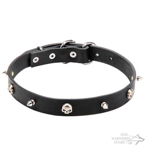 Leather Skull Dog Collar with Spikes in Gothic Style for Walks