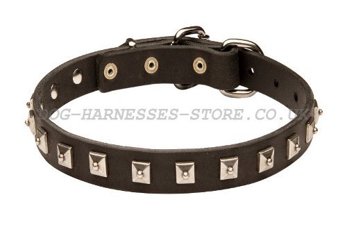Small Leather Dog Collar with Square Studs of Caterpillar Design - Click Image to Close