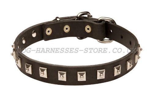 Small Leather Dog Collar with Square Studs of Caterpillar Design