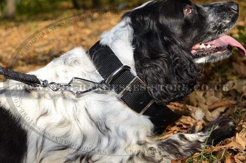Bestseller! Spaniel Collar of Two-Ply Nylon in Classic Design - Click Image to Close