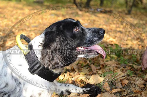 Spaniel Dog Collar of Nylon with Handle and Quick-Release Buckle