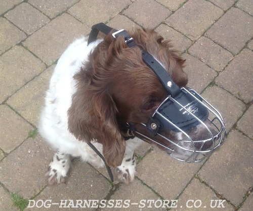 Lightweight Wire Basket Dog Muzzle for Springer Spaniel - Click Image to Close