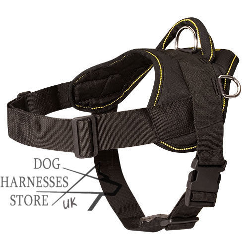 Dog Harness Universal in Use and Multifunctional of Strong Nylon