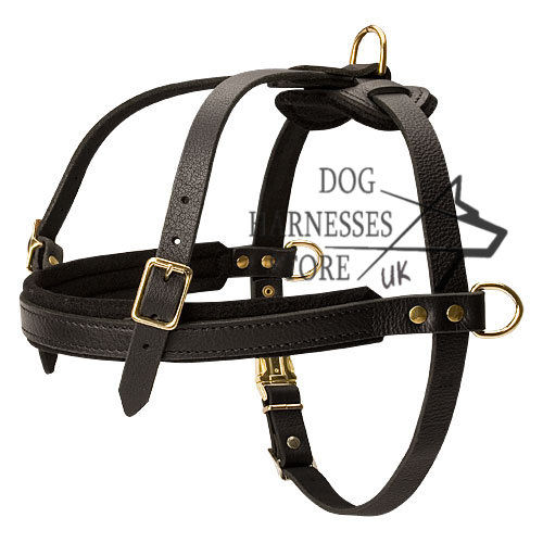 Dog Harness Tracking UK Padded for Dogs, Sublime Quality!