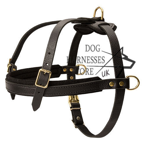 Dog Harness Tracking UK Padded for Dogs, Sublime Quality! - Click Image to Close