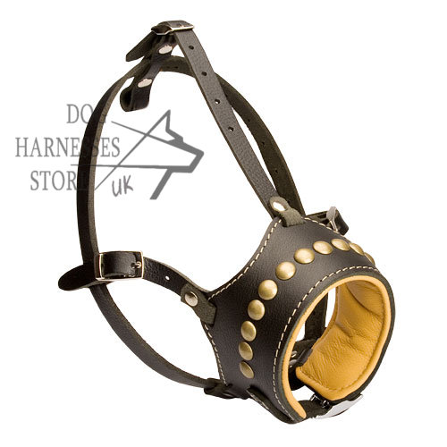 Leather Dog Muzzle, Anti-Bark, Studded and Soft Nappa Padded