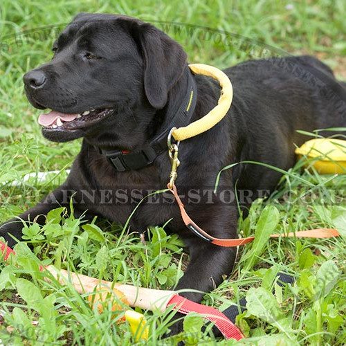 Tactical Dog Collar of Nylon with Handle & Quick Release Buckle