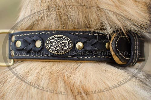 Tervuren Collar of Royal Design, Leather with Nappa Padding