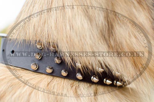 Tervuren Collar with Three Rows of Shiny Nickel Spikes, Leather