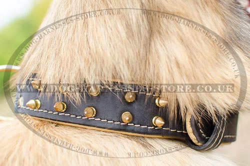 Tervuren Collar of Nappa Lined Leather with Shiny Brass Spikes