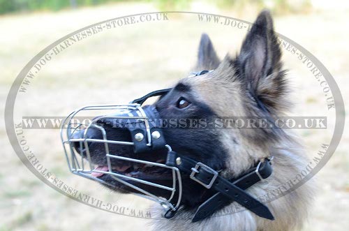 Tervuren Muzzle, Wire Cage Design, Maximum Airflow and Comfort