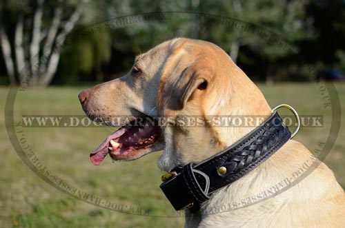 Thick Dog Collar with Braided Decorations and Brass Hardware