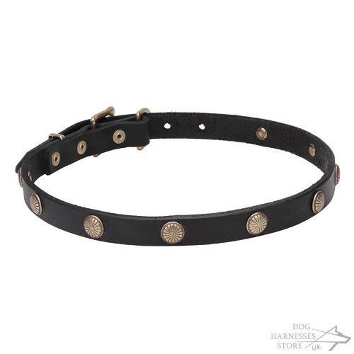 "Sunshiny" Thin Leather Dog Collar Embossed Round Brass Studs