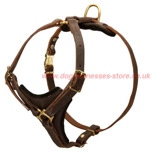 Bestseller! Dog Harness Tracking UK, Leather Outfit for Walks