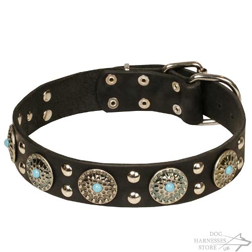 Turquoise Stone Dog Collar Leather and Silver-Like Decor