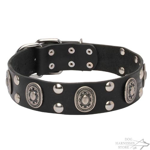 Vikings Dog Collar of Natural Leather with Oval Plates & Studs