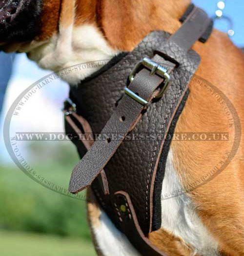 Brown Leather Harness for Dogs, Training and Walking Bestseller!