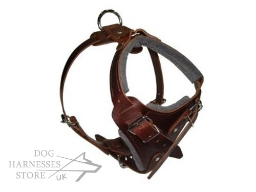 Brown Leather Harness for Dogs, Training and Walking Bestseller!