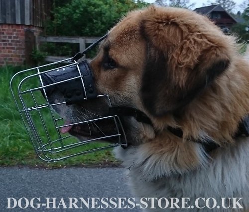 Wire Basket Dog Muzzle for Leonberger-Caucasian Shepherd