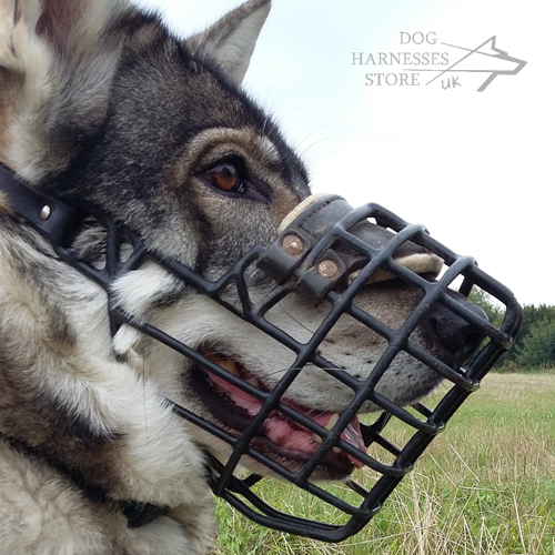 Rubberised Steel Dog Muzzle for Northern Inuit Dog - Click Image to Close