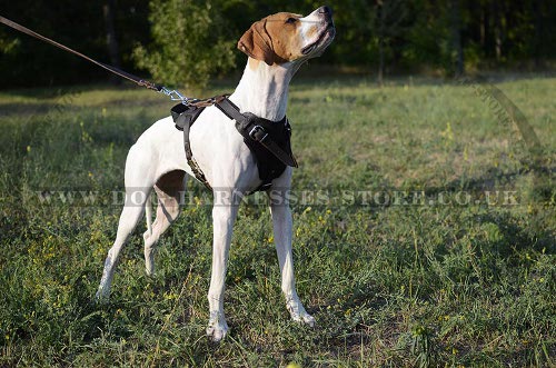 Working Dog Harness for English Pointer, Super Strong Design