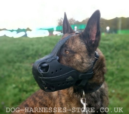 Herder Dog Muzzle of Natural Leather for Training and Working