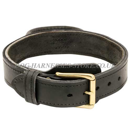 Leather Dog Collar with Handle UK