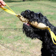 Leather Bite Tug with Two Handles for Black Russian Terrier