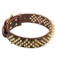 Leather Dog Collar with Waves of Sparkling Brass Barbs "Stinger"