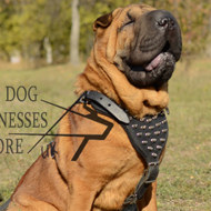 Bestseller! Spiked Leather Dog Harness for Shar-Pei Walking