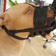 Leather Dog Muzzle for Pitbull, Perfect for Everyday Use