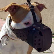 Leather Pitbull Muzzle with Reinforcement for Agitation