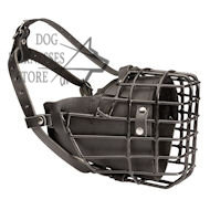 Best Dog Muzzle for Training