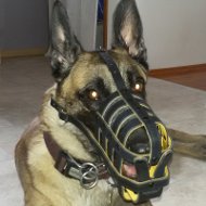 Malinois Muzzle of Royal Design, Soft Nappa Padded Leather Malinois Muzzle of Royal Design, Soft Nappa Padded Leather