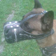 Malinois Muzzle of Unique Design with Hand Barbed Wire Painting