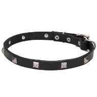 Modernly Designed Studded Thin Leather Dog Collar with Pyramids