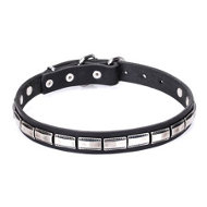 Narrow Width Dog Collar "Refined Classic" FDT Artisan