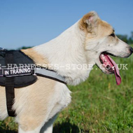 Reflective Dog Harness of Nylon for Central Asian Shepherd