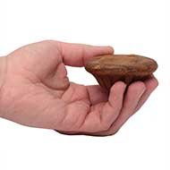 Healthy Organic Dog Treats of Huge Size for Large Breeds Healthy Organic Dog Treats of Huge Size for Large Breeds