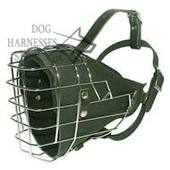 Dog Muzzle UK