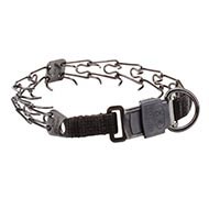 Make Your Naughty Dog Obedient In Safe Way with Pinch Collar UK