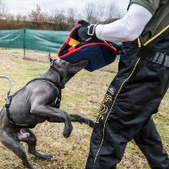 Pitbull Attack Training Extra Durable French Linen Bite Builder