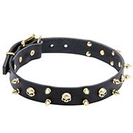 Rock-n-Roll Dog Collar with Brass Skulls and Two Rows of Spikes