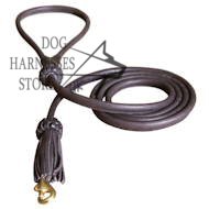 Luxury Leather Dog Lead for Walking 2-6 Feet, Brown