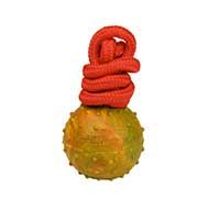 Hard Rubber Ball on Nylon Rope for Dog Training, Dotted Surface