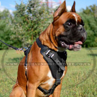 Protection Dog Harness for Agitation, Attack Boxer Training