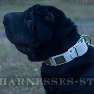 Shar-Pei Collar of White Leather with Spikes and Plates for Walk Shar-Pei Collar of White Leather with Spikes and Plates for Walk