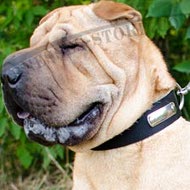 Shar-Pei Collar 2-Ply Nylon with Name Plate for Identification Shar-Pei Collar 2-Ply Nylon with Name Plate for Identification