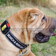 Shar-Pei Collar Nylon with ID Patches and Quick-Release Buckle